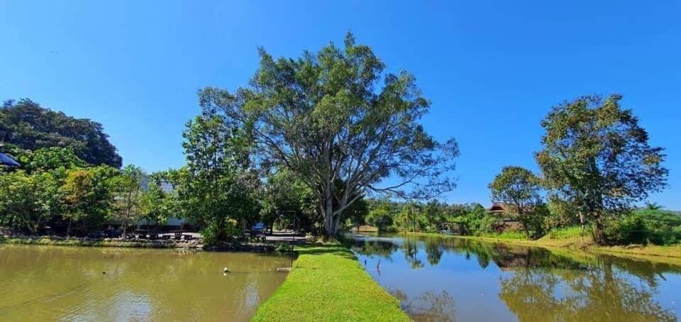 Homdoiintr Farmstay ฮ่อมดอยอินทร์ ฟาร์มสเตย์ Ban Huai Kaeo Exteriör bild