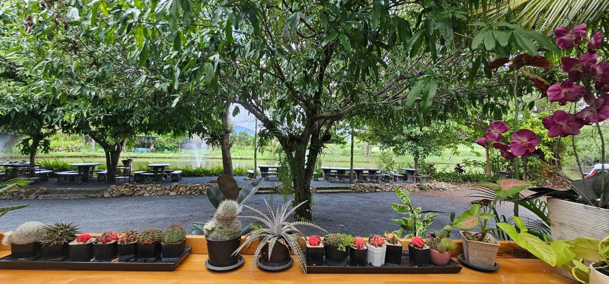 Homdoiintr Farmstay ฮ่อมดอยอินทร์ ฟาร์มสเตย์ Ban Huai Kaeo Exteriör bild