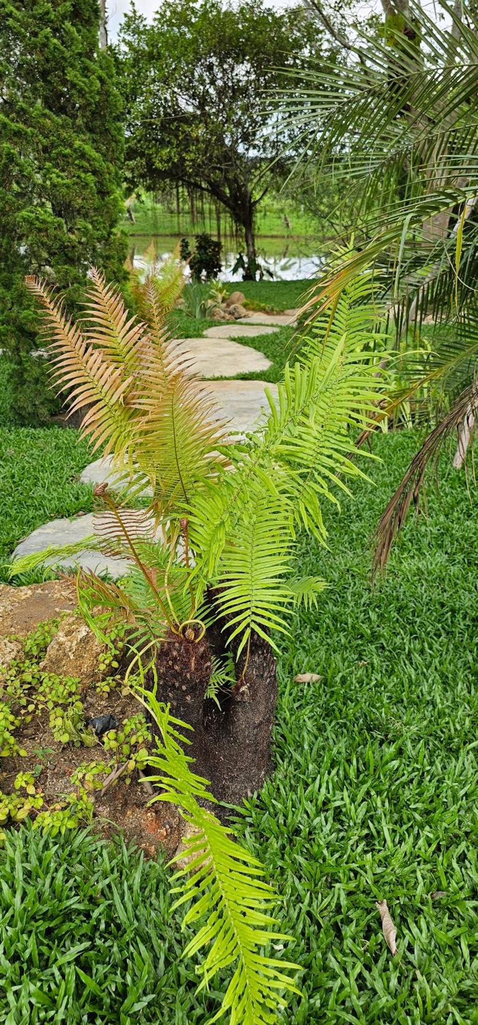 Homdoiintr Farmstay ฮ่อมดอยอินทร์ ฟาร์มสเตย์ Ban Huai Kaeo Exteriör bild