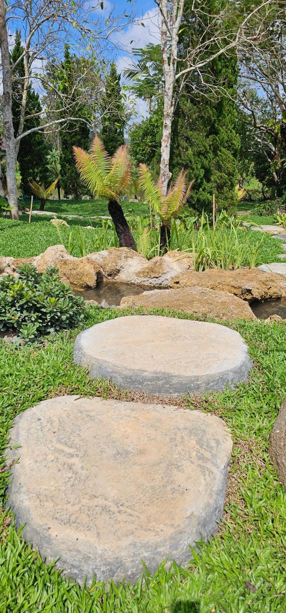 Homdoiintr Farmstay ฮ่อมดอยอินทร์ ฟาร์มสเตย์ Ban Huai Kaeo Exteriör bild