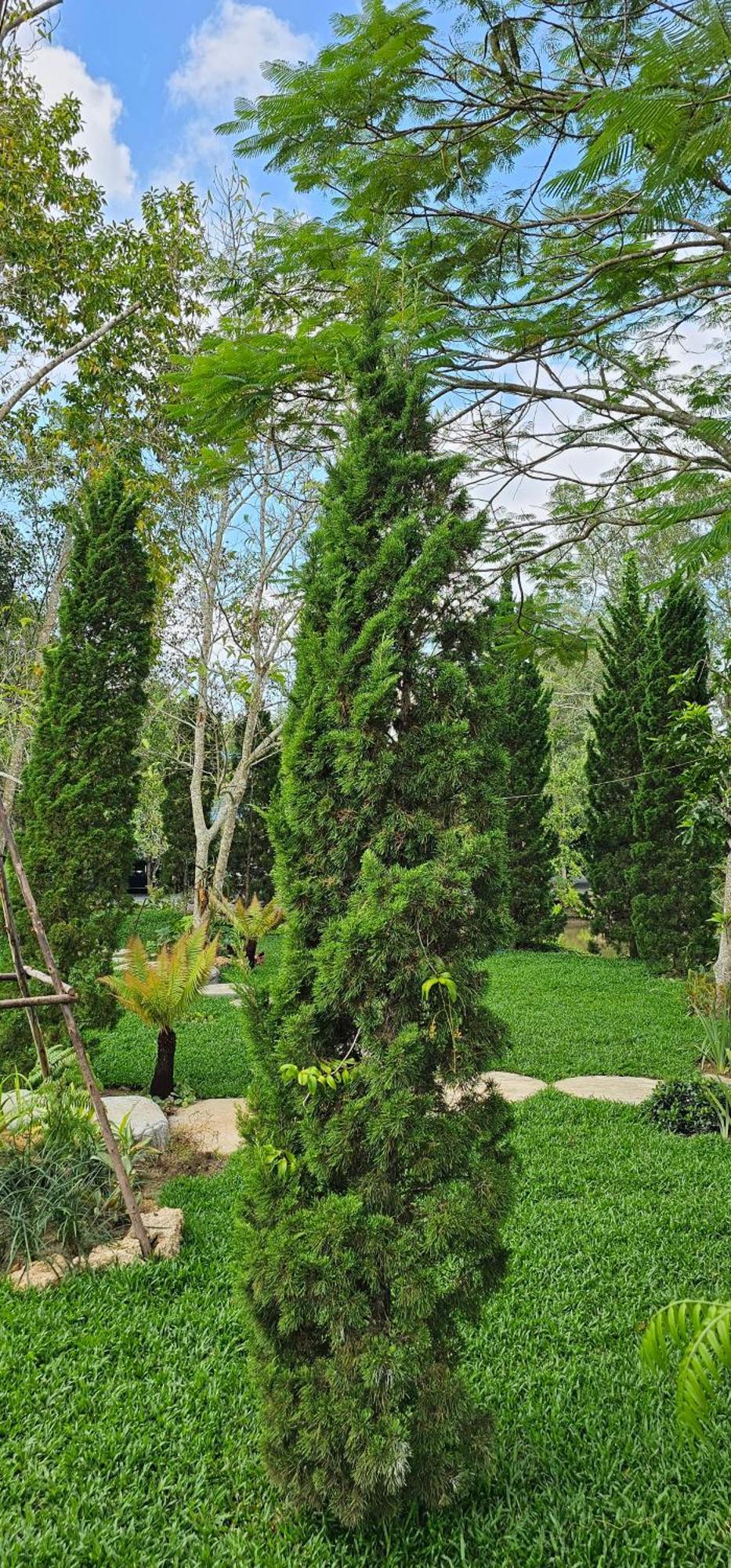 Homdoiintr Farmstay ฮ่อมดอยอินทร์ ฟาร์มสเตย์ Ban Huai Kaeo Exteriör bild