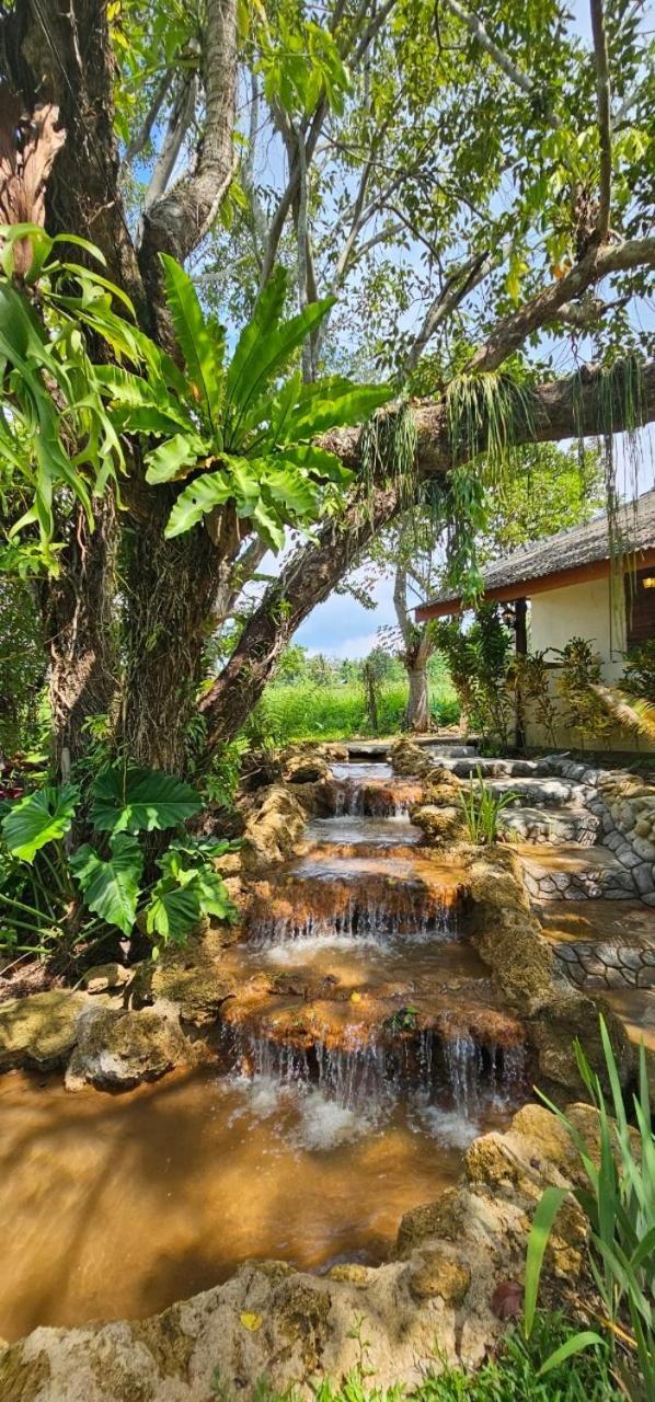 Homdoiintr Farmstay ฮ่อมดอยอินทร์ ฟาร์มสเตย์ Ban Huai Kaeo Exteriör bild