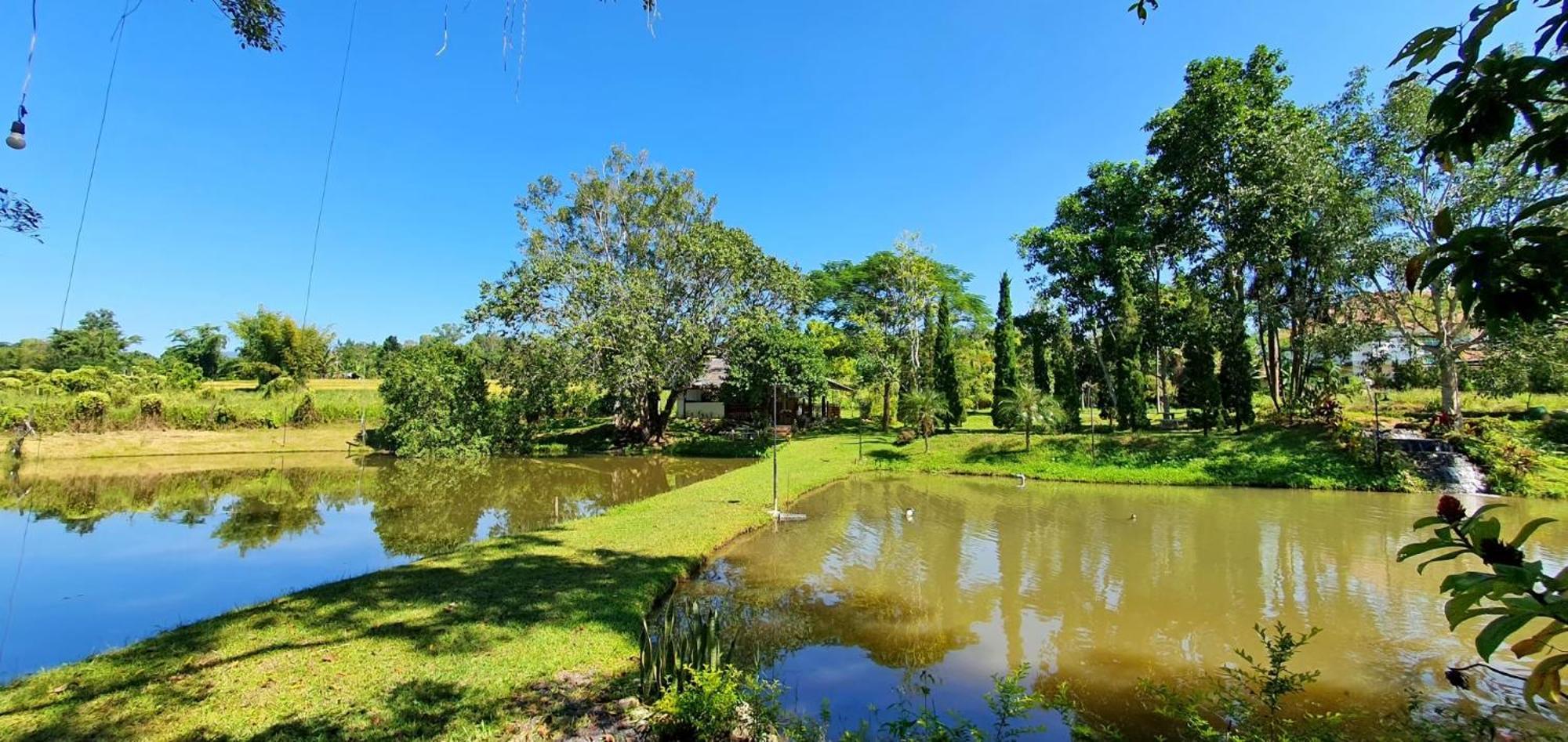 Homdoiintr Farmstay ฮ่อมดอยอินทร์ ฟาร์มสเตย์ Ban Huai Kaeo Exteriör bild